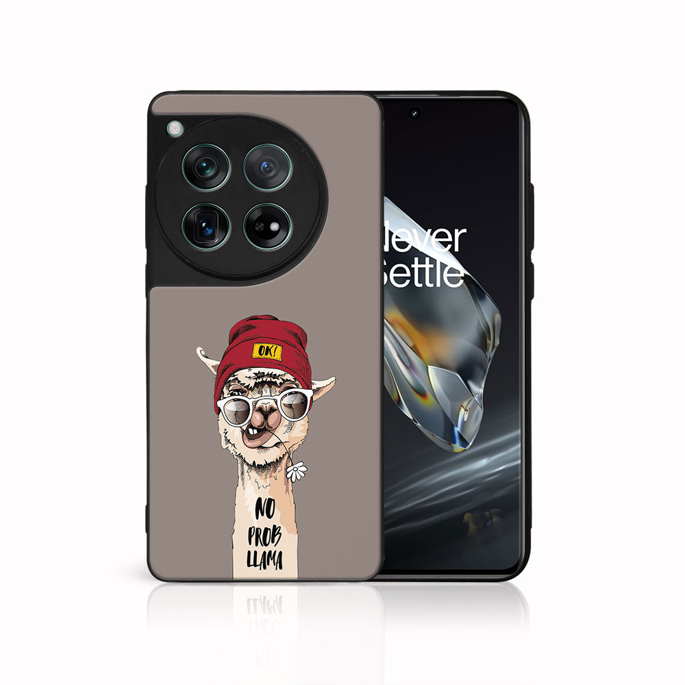 MY ART Husă De Protecție Pentru OnePlus 12 PROBLLAMA (187)